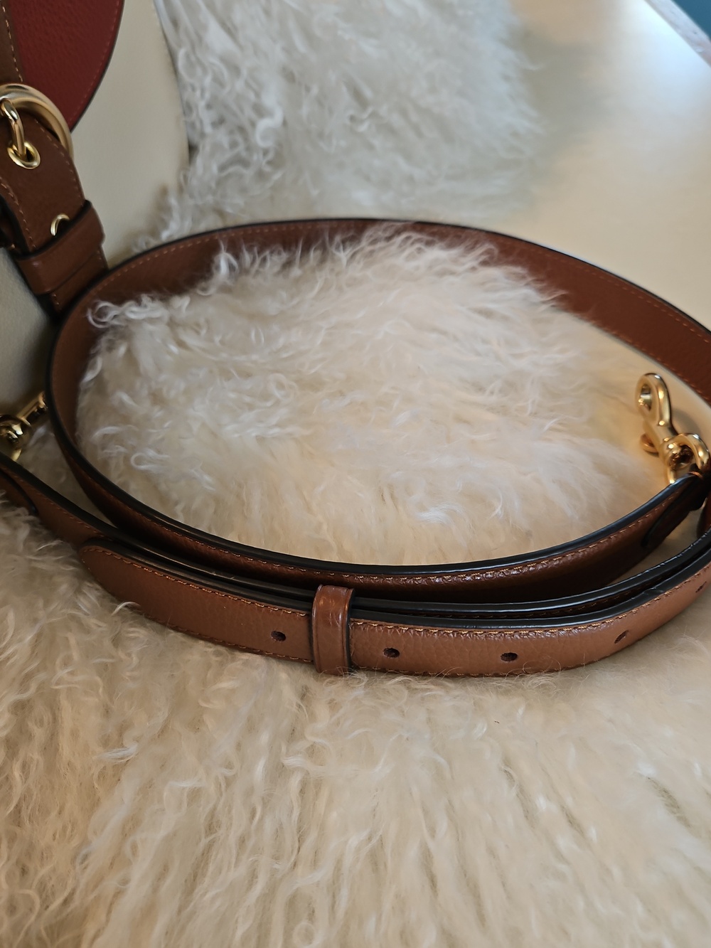 Coach Colorblock Leather Saddle Bag in Burgundy & Cream - Picture 4 of 11